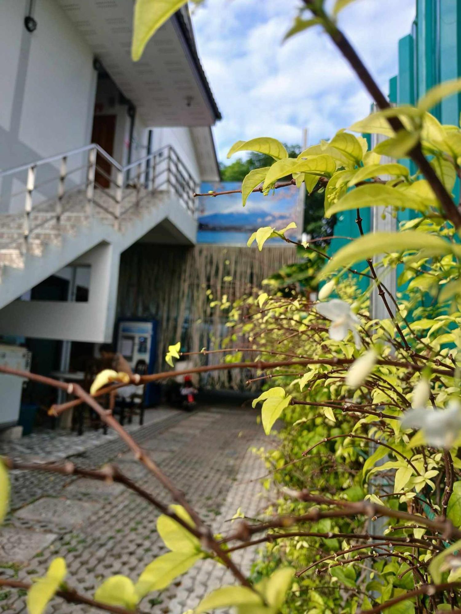 Albergue Sakura House Chiang Mai Exterior foto